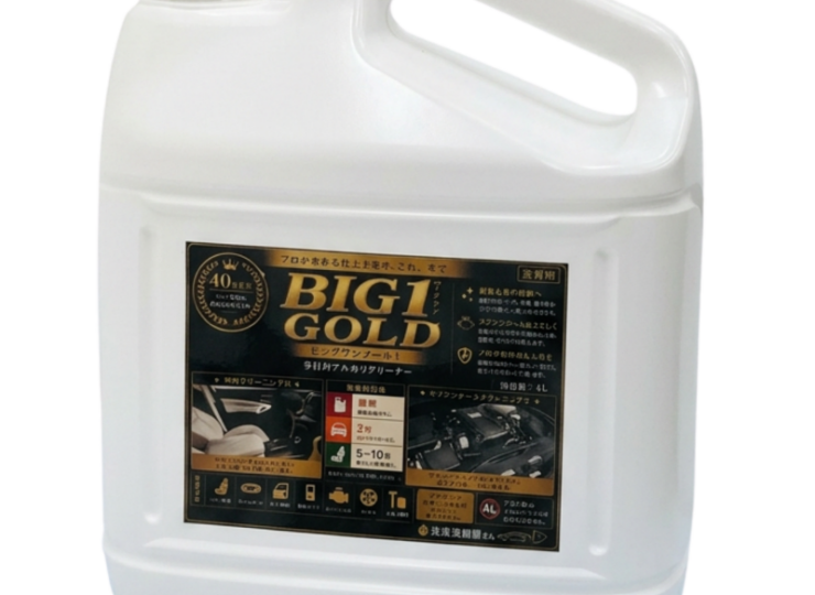 BIG1G